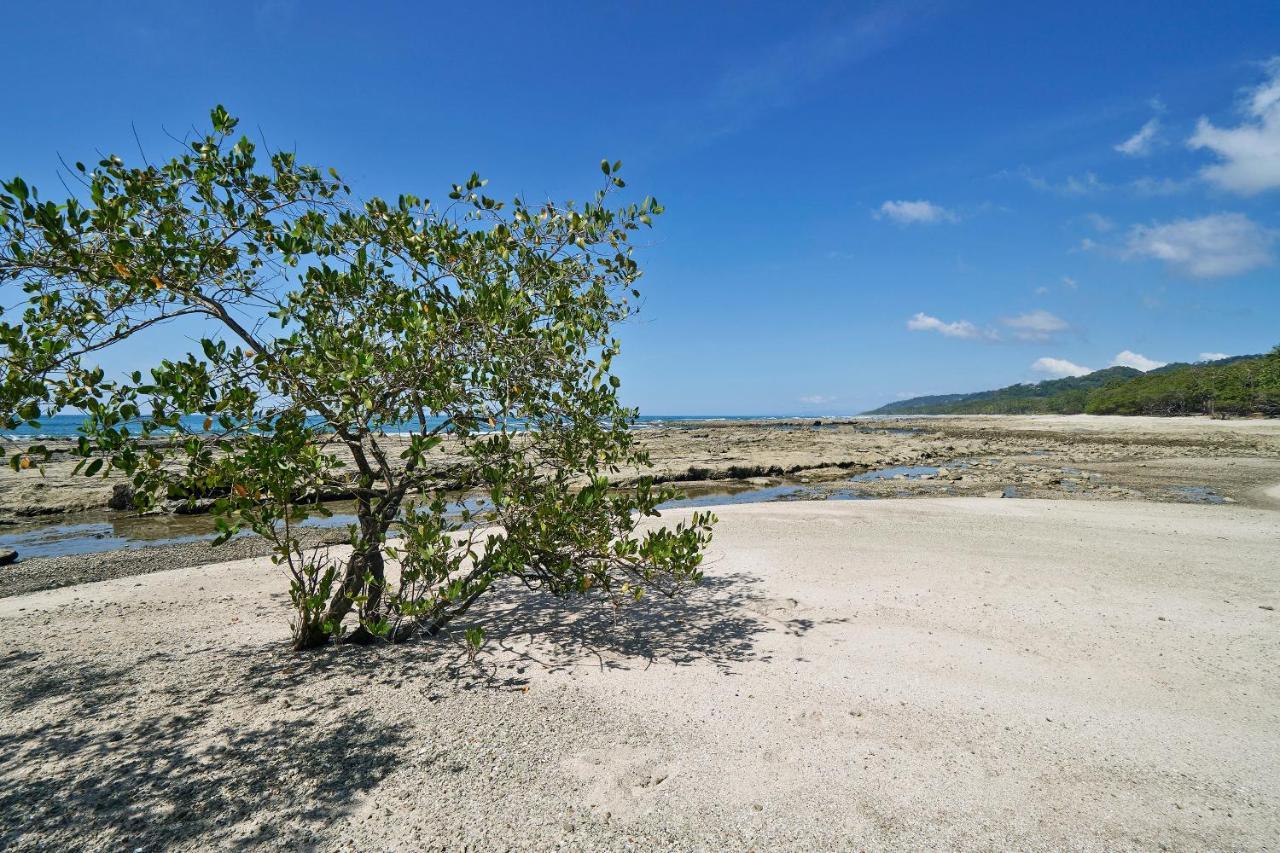 Paradise Beach Lodge Malpais Dış mekan fotoğraf
